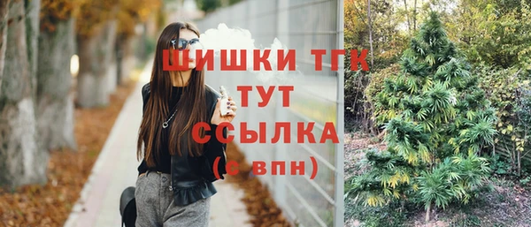 PSILOCYBIN Гусев