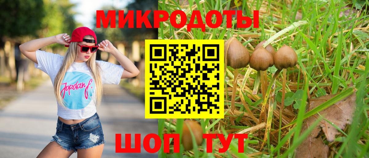 Рузаевка  Псилоцибиновые грибы Cubensis  цены наркотик  Вход с VPN  Псилоцибиновые грибы Psilocybine cubensis 