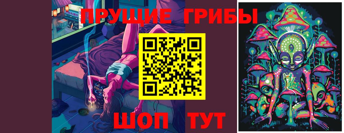 Галлюциногенные грибы Psilocybine cubensis Рузаевка