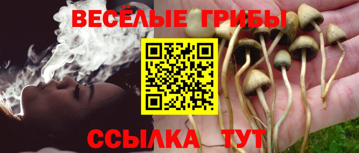 Псилоцибиновые грибы ЛСД Рузаевка